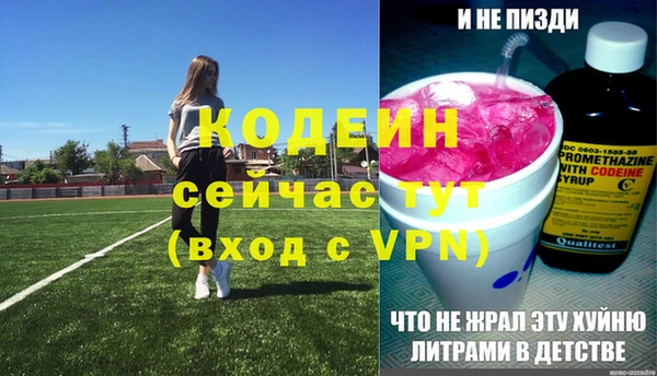 шишки Богородицк