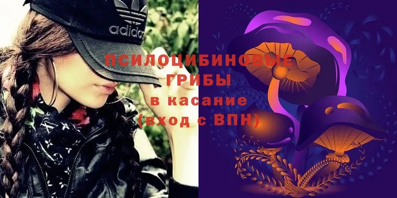 Псилоцибиновые грибы ЛСД Грязи